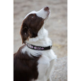 Pénélope Collier pour chien Pearl