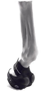 Veredus carbon shield bottes arrières