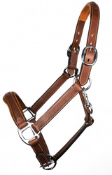 Antarès Licol en cuir