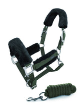 Stockholm Licol et laisse