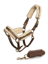 Stockholm Licol et laisse