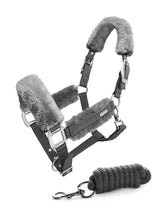 Stockholm Licol et laisse